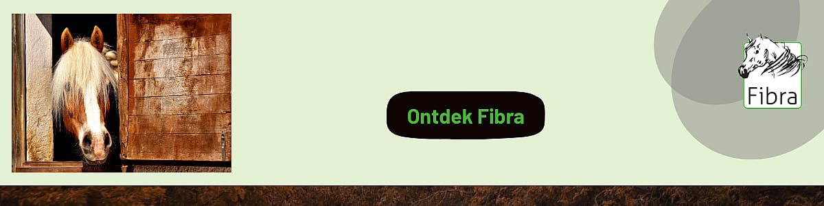 Open haard, Binnenshuis, Interieurontwerp, Paard, Hout